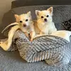 Dawn Mclean - @dawn.mclean2 - TikTok