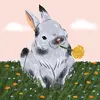 Dawn McPake - @dawn.mcpake - TikTok