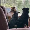 Dawn McPeak Laakson - @dawn.mcpeak.laakso - TikTok