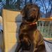 Dawn Meagher - Facebook