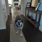 Dawn Donoho Medley - @donohodawn - Instagram