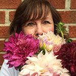 Dawn Medley - @plantednblooming - Instagram