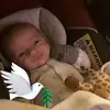 Dawn Hoffmeister Kucharek - @dawn.hoffmeister - TikTok