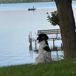 Dawn Melin Sankey - @dawnmarie1119 - Instagram