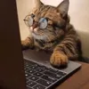 Dawnnnn - @dawnmenolakscam - TikTok