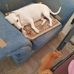 Dawn Merck - Facebook