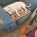 Dawn Merck - Facebook
