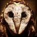 Nova Dawn Merrow - Facebook