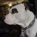 Dawn Messer - Facebook