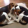 Dawn Messer - @dawn.messer - TikTok
