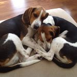 Dawn Messer - @dawnmesser27 - Instagram