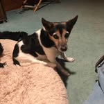 Dawn Marie Michetti - @dawnmichetti - Instagram