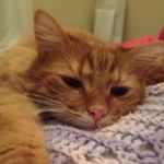 Dawn Mickel - @d_mickel - Instagram