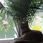 Dawn Mickel - @dawnmickel - Instagram