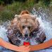 Dawn Middleton - Facebook