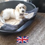 Dawn Middleton - @divadawny - Instagram