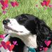 Dawn Millar - Facebook