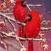 Dawn Milligan - Facebook