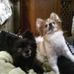 Dawn Milner - Facebook