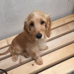 Dawn Bromilow - @dawnbromilow - Instagram
