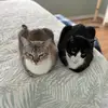 Dawn (Millie and Milo) 😇 - @dawnblaz1 - TikTok