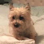 Dawn Milo De La Hoz - @dawn_de_la_hoz - Instagram