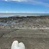 Milo_8910 - @dawnsv_milo - TikTok