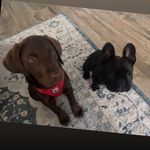 Dawn Mink Burgett - @dawnminkburgett - Instagram