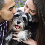 Dawn Minkow - @dawnminkow - Instagram