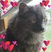 Dawn Minor - Facebook