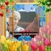Dawn Minor - Facebook