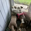 dawnmitchell06 - @dawnmitchell06 - TikTok