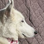 Dawn Moats - @moats2974 - Instagram
