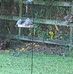 Dawn Mobley - Facebook