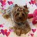 Dawn Modica - Facebook