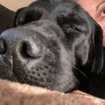 Dawn Moeller - @moellerdawn - Instagram