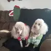 dawnmoeller627 - @dawnmoeller627 - TikTok