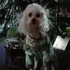 dawnmoeller6 - @dawnmoeller6 - TikTok