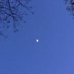 🌙 - @dawnmoon__ - Instagram