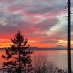 Dawn Morrell - @dawnmorrell5 - Instagram