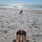 Dawn Morse - @dawn.morse - Instagram