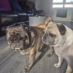 Dawn Mullen - @dawnmullen892 - Instagram