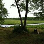 Dawn Nadeau O'Leary - @dawn21754 - Instagram