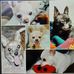 Dawn Nadeau Olmsted - Facebook
