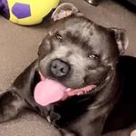Dawn Napier - @napier4639 - Instagram