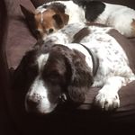 Dawn Naylor - @naylor1653 - Instagram