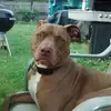 Dawn Neiss - @dawn.neiss - TikTok