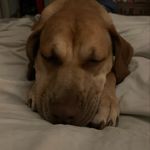 Dawn Gendreau Noel - @dawnieg - Instagram