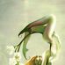 Dawn Norlander - Facebook