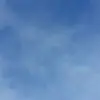 dawnnorlander867 - @dawnnorlander867 - TikTok